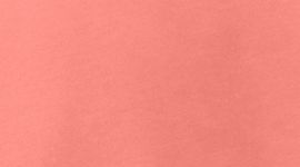 Light Coral color swatch