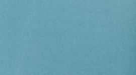 Healey Train to Beach Short 8"