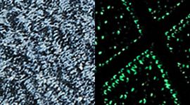 Slate/Grey Glow color swatch