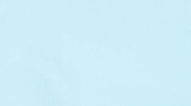 Hotty Hot Short II *2.5"