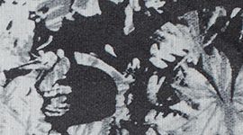 Canopy Ice Grey Black color swatch