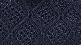 Navy/White color swatch