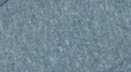 White/Blue Coal color swatch