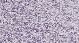 Heathered Dark Court Purple (not available)