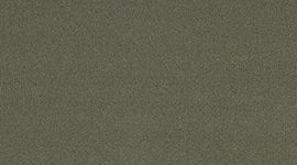 Camo Green/Camo Green color swatch