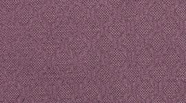 Arctic Plum/Arctic Plum color swatch