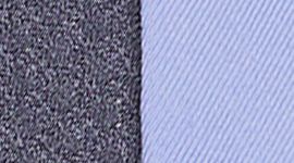 Iron Purple/Cadet Blue color swatch