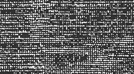 Twillines White Black color swatch