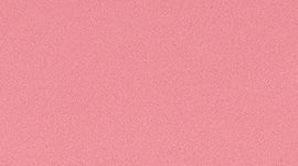 Fast And Free Short 10" *Non-Reflective