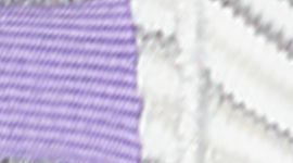 Wee Are From Space Nimbus Battleship/Enchanted Iris color swatch