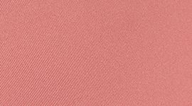 Red Bronzer color swatch