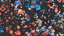 Flowerescent Multi color swatch