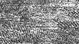 Rush Jacquard Black White color swatch