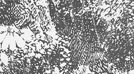 Wildwood Multi Black color swatch