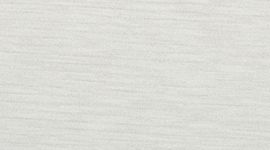 Ceramic/White color swatch