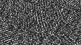 Feathered Jacquard Black White color swatch