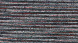 Darkside/Point Grey/Black/Red color swatch