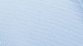 Sinatra Blue/Sinatra Blue