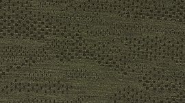 Dark Olive/Armory color swatch