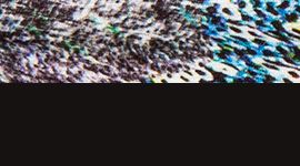 Sequins Glitch Multi/Black color swatch