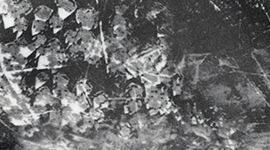 Carbon Copy Alpine White Black color swatch