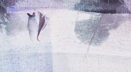 Sunrise Silhouette Multi color swatch