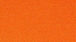 No Boxer Boxers 14 cm