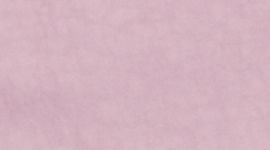 Antoinette color swatch