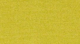 Golden Lime/Golden Lime color swatch