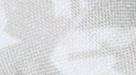 Prism Dash Alpine White French Clay color swatch