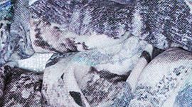 Springscape Multi color swatch