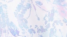 Imprint Flora Multi/White color swatch