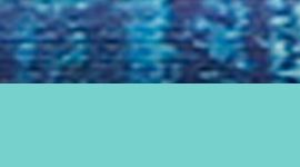 Blue Tropics/Wild Woods Blue Tropics Multi color swatch