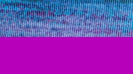 Wild Woods Blue Tropics Multi/Cosmic Nova color swatch