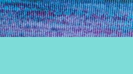 Wild Woods Blue Tropics Multi/Blue Tropics color swatch