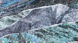 Springscape Multi/Obsidian color swatch