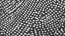 String Soyeux et sans coutures