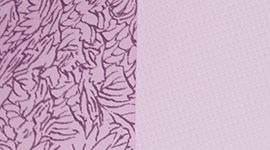 Cut Floral Antoinette Smoky Quartz/Antoinette color swatch