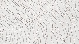 Down to the Wire T-Shirt *Nur Online