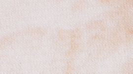 To The Point LS *Mist