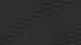 Short T.H.E 23 cm *Doublure