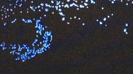 Glacier Marble Black Cosmic Iridescent Foil/Black color swatch