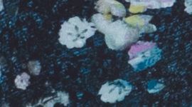 Aurora Flora Multi/Night Diver color swatch