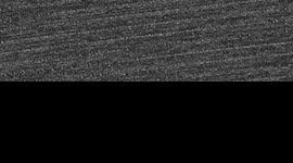 Fast and Free Tanktop