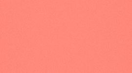 Stay Hot Keep Cold Flasche *560 ml