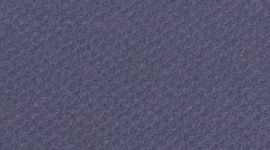 Pulse Motivation Short Sleeve