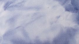 Align High-Rise Crop 21"