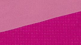 Train to Beach Short 8"