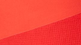 Train to Beach Short 8"