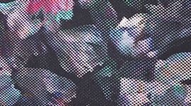 Soutien-gorge Free to Be *Wild